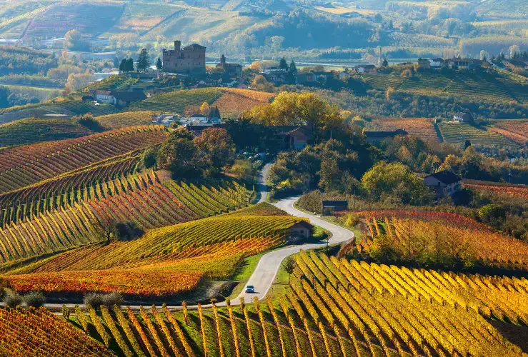 A scenic road through the Langhe wine district in Piedmont, Italy,